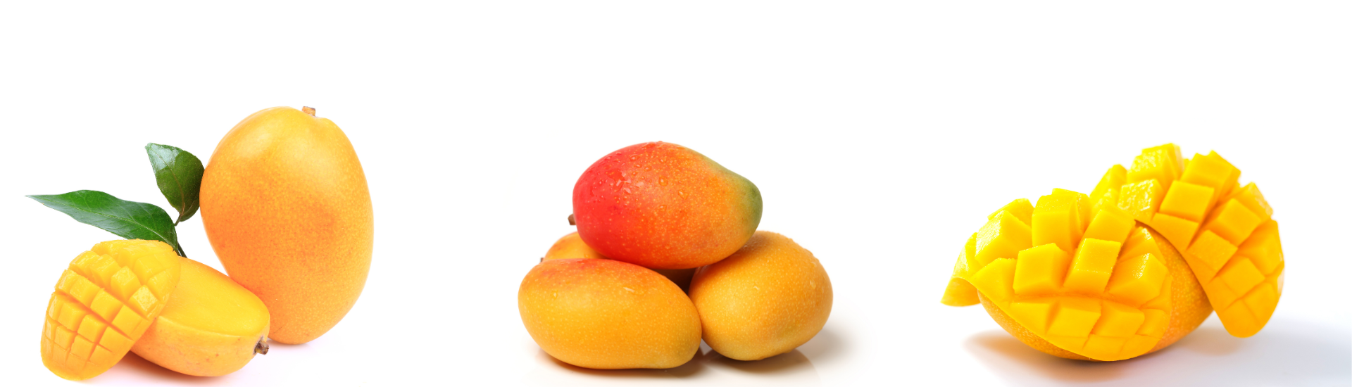 Mango Varieties Banner